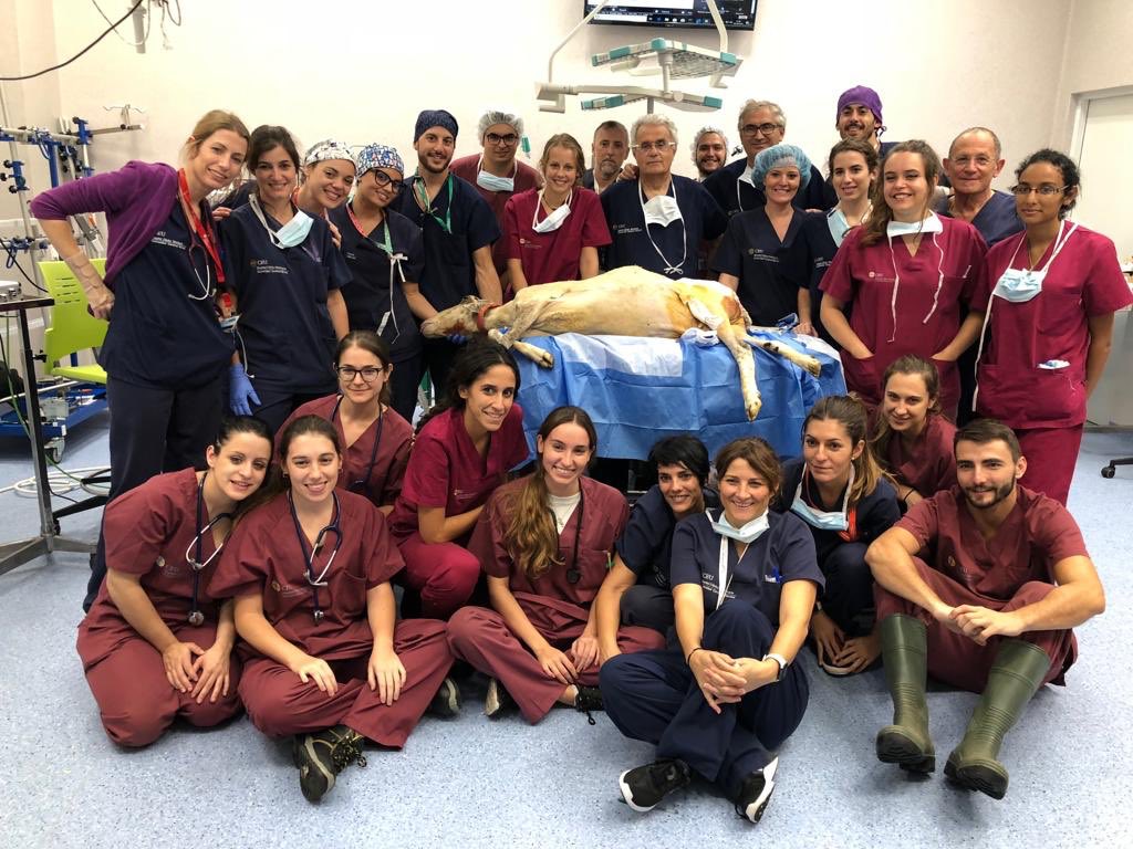 RamonCugat's tweet photo. Thanks to the team and Thanks to the  ships. Great job https://t.co/gwuI5DW1xj