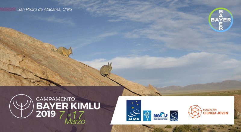 BayerConoSur's tweet photo. ¡Último día para postular a la próxima versión del campamento #BayerKimlu2019! Inscripciones en https://t.co/ksJzJjysyI // @fcienciajoven y @ALMAObs_esp https://t.co/HpXRwbgXyt