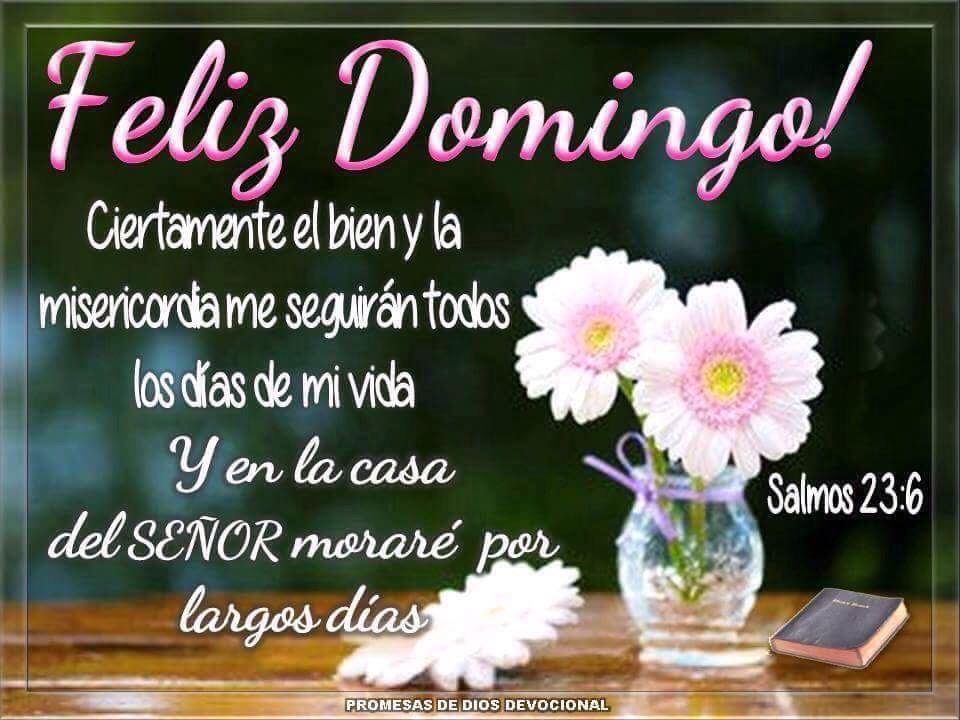 Loren Castillo on Twitter: "Feliz Domingo , que la misericordia del Señor  te cubra todos los días de tu vida…La bondad y el amor me seguirán todos  los días de mi vida;