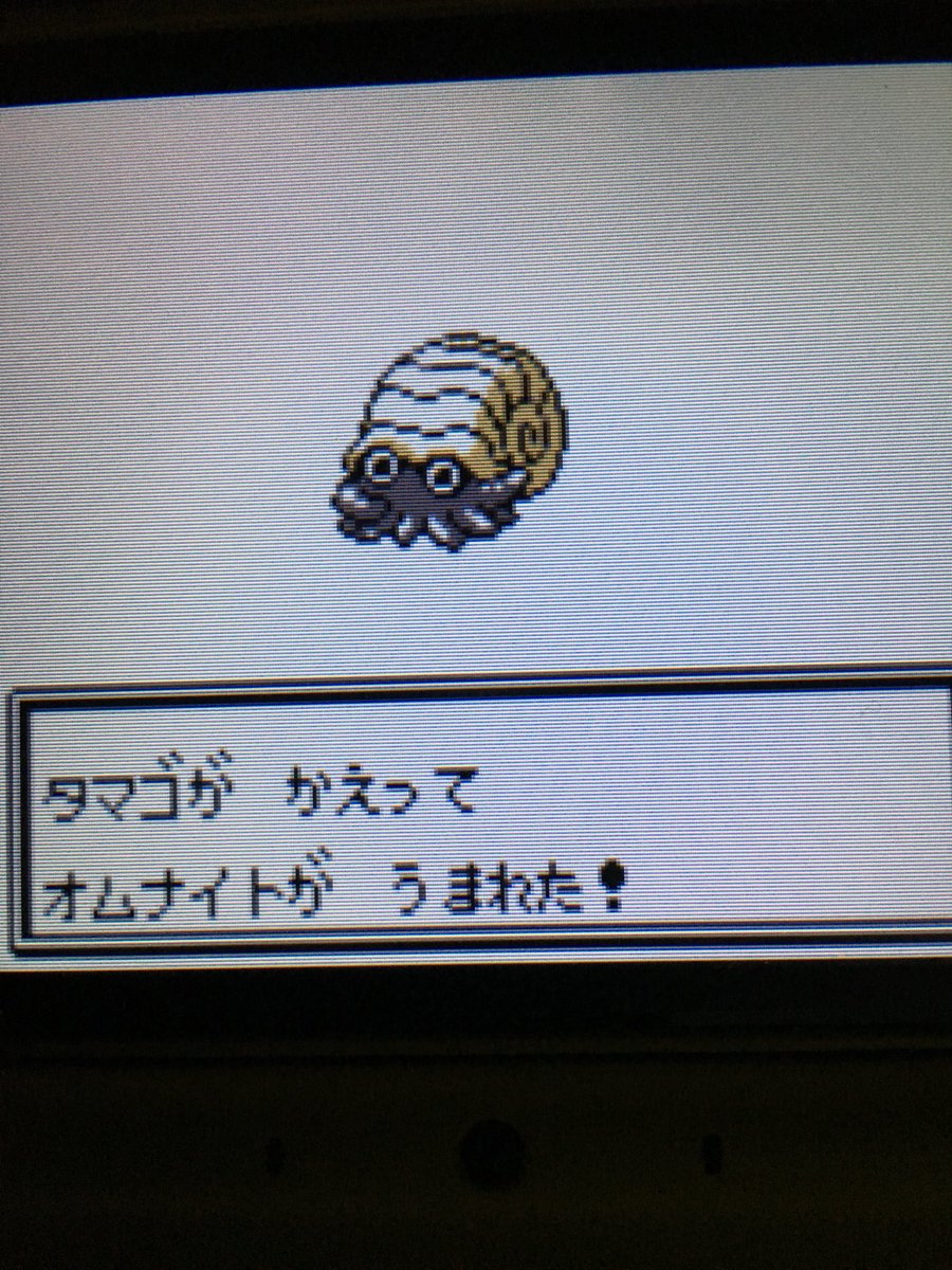 色違いポケモン紹介 Vc産オムナイト 自由に生きてあそblog