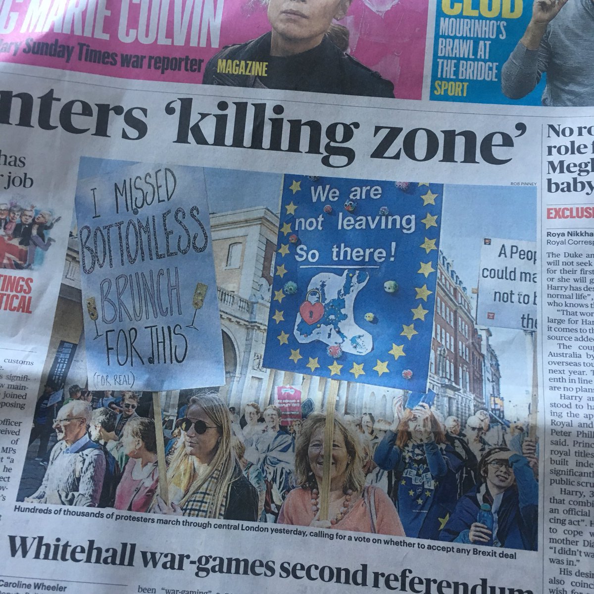 Phoebe LeMessurier tweet media