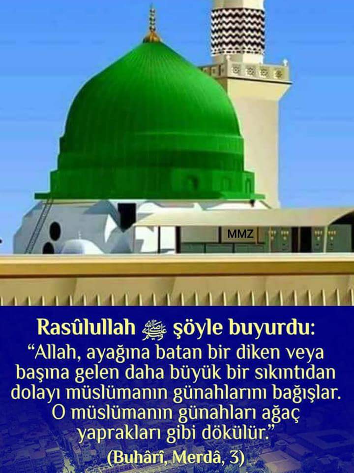 Gunay Koparan (@gunaykoparan) on Twitter photo 