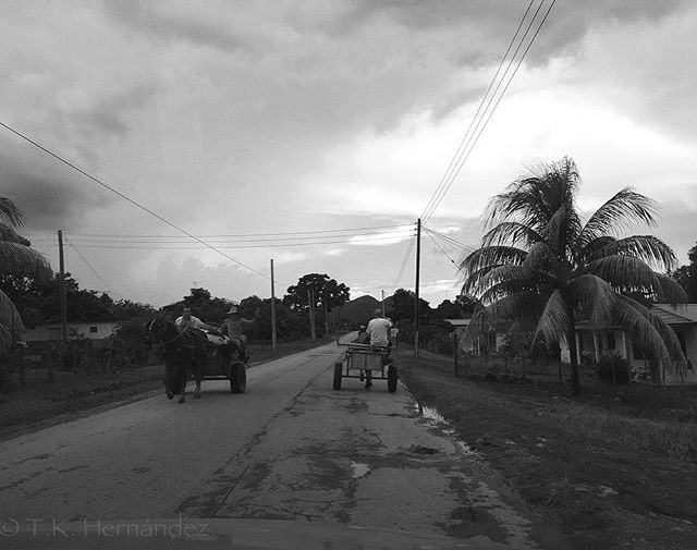 tk_hernandez's tweet photo. The rural life. In another time and place, life stands still.
#blackandwhite #bnwphotography #bnw #bnw_life #photography #blackandwhite #blackandwhitephoto #blackandwhitephotography #bnw_life_shots #bnw_greatshots
#bnw_magazine #aspfeatures #SPiCol… https://t.co/Gm7td89dBy https://t.co/daW4TsifHd