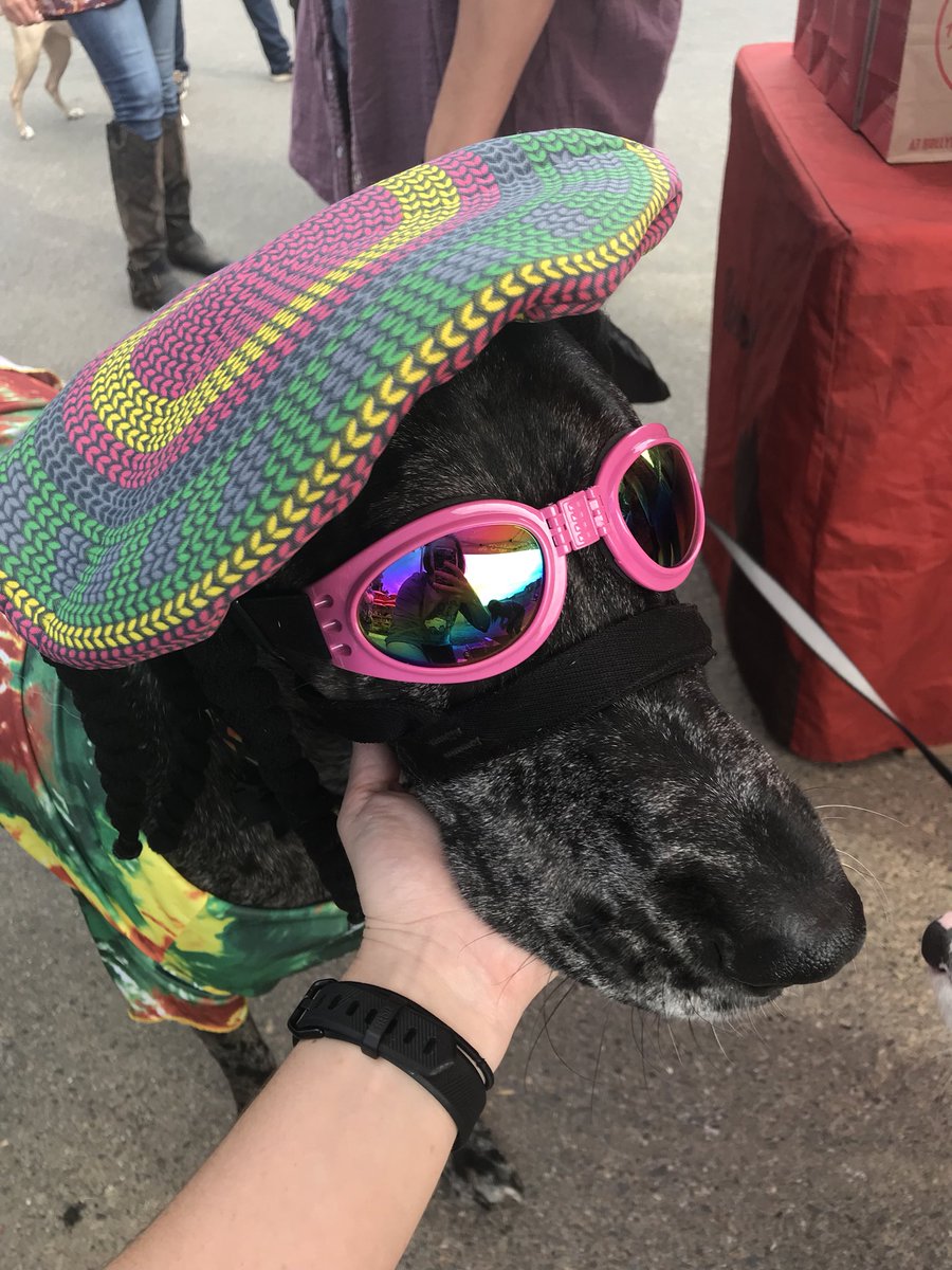 MemPetsAlive's tweet photo. Amazing time at #PintsForPits yesterday π Thanks to our volunteers, @HWFeed, @SuperloFoods, @ShufflegritBand, @Moes_HQ, @BeerCrosstown and all our silent auction donors for making it happen!! https://t.co/bIouXI5fkf