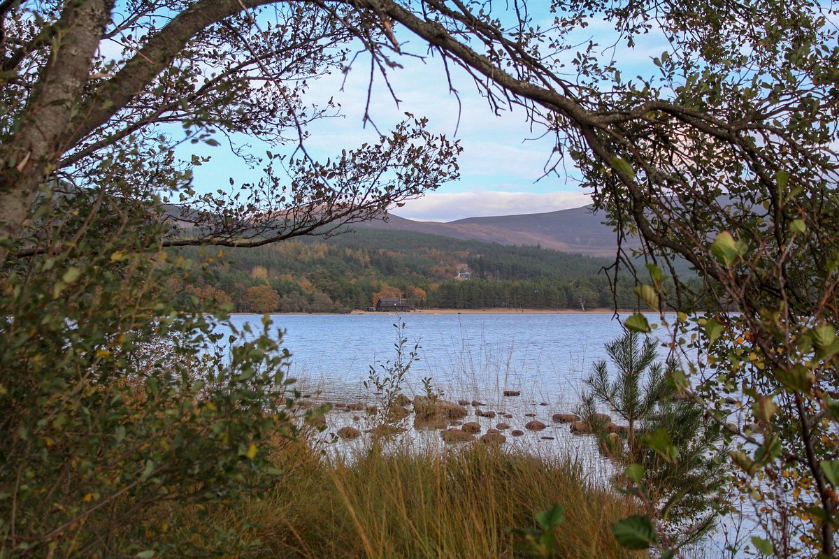 Loch Morlich, Aviemore
#Highlands #lochmorlich #cairngorms #Scotland #ThePhotoHour #thisisscotland #loch #scottishlochs