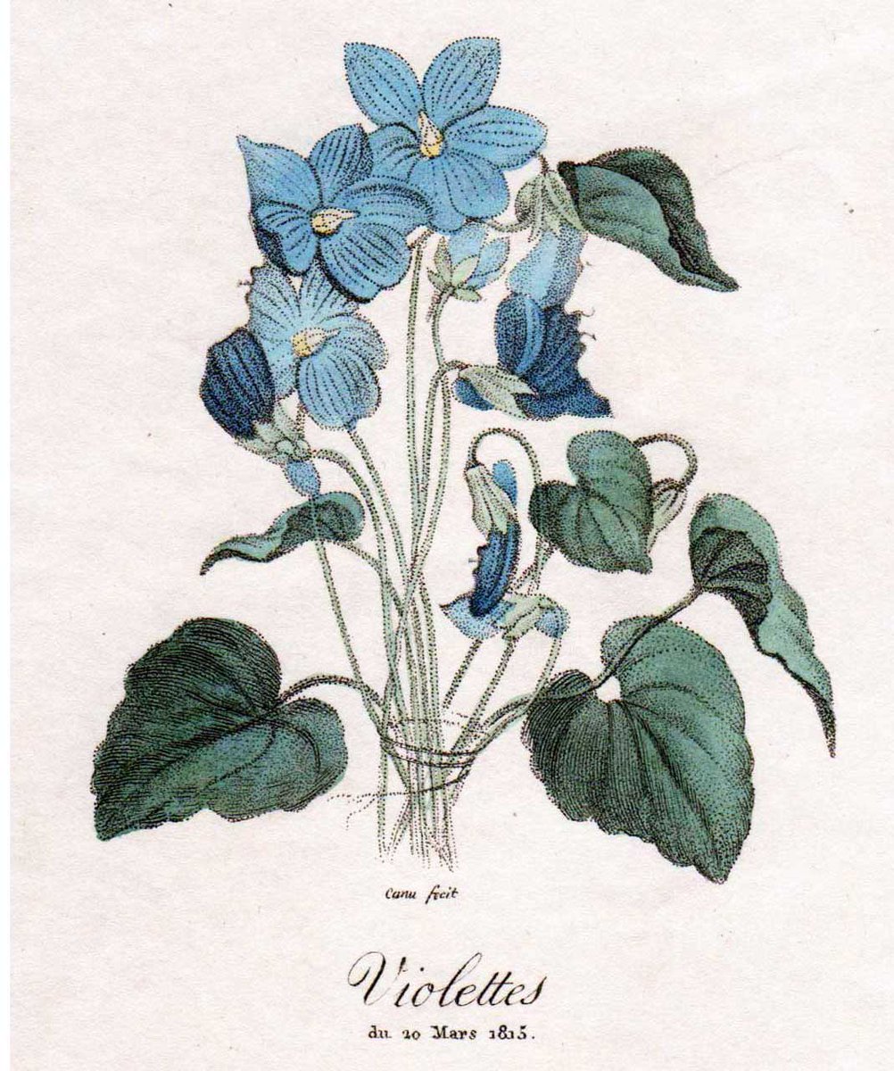 Aurora Contreras (AuroraContrer) Twitter