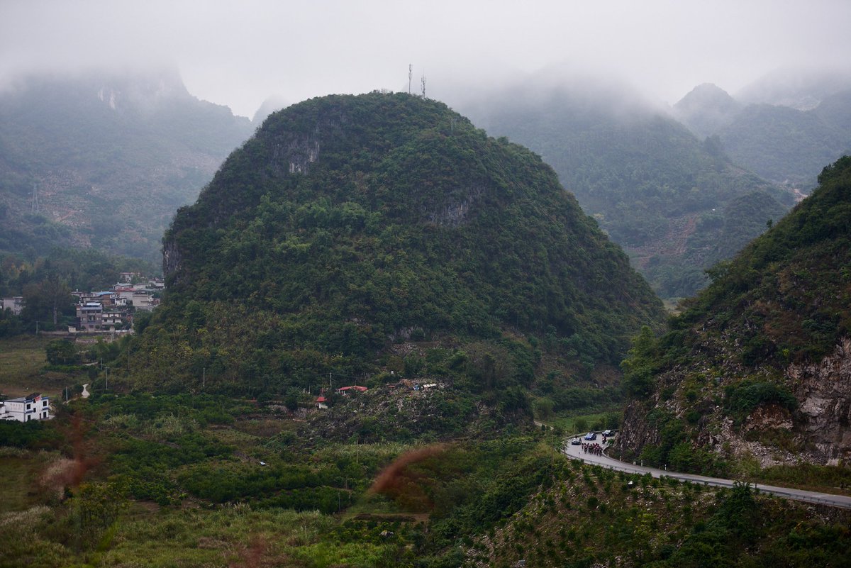 Wiggle High5 tweet media