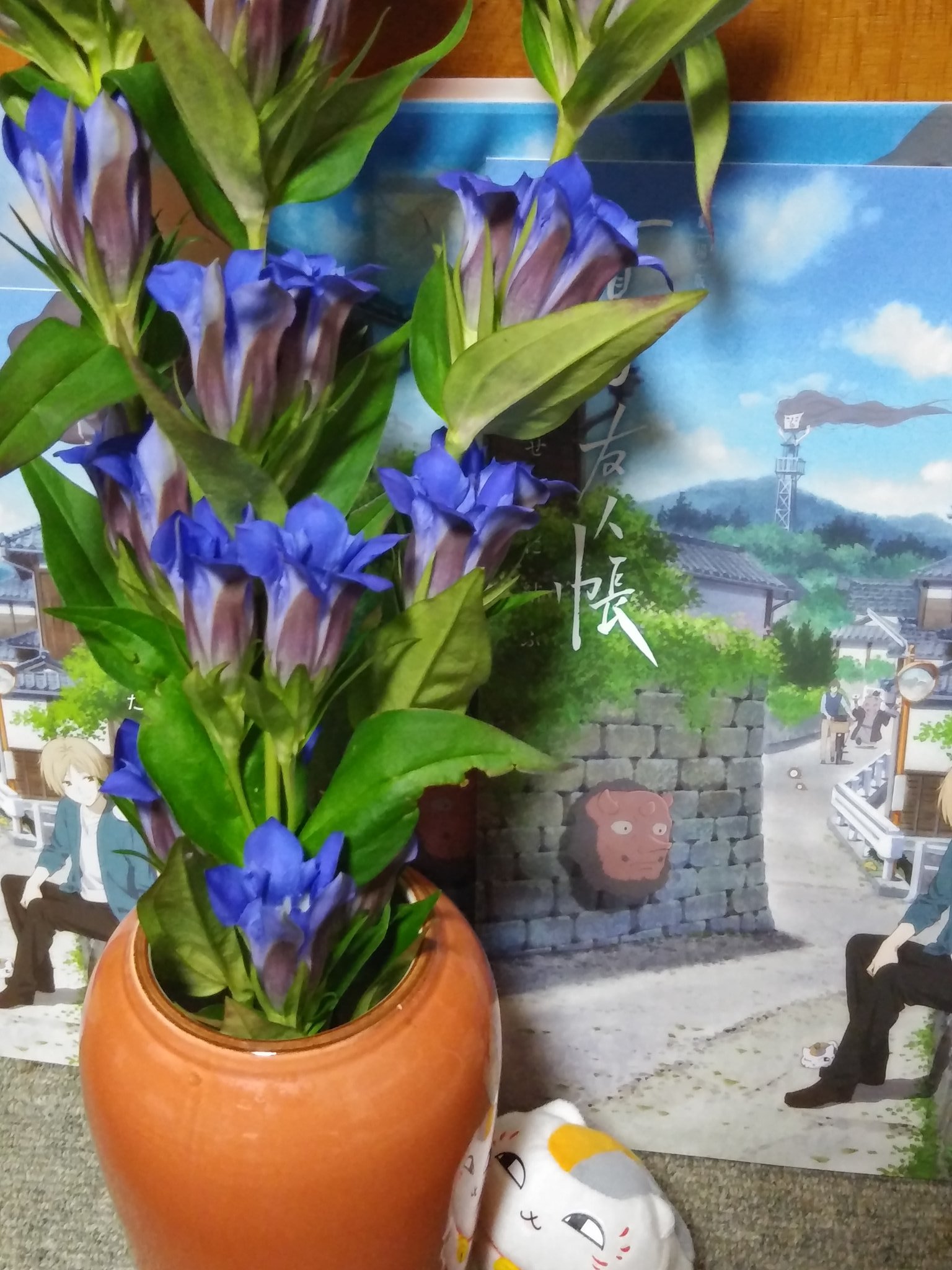 Tomokuma 市場まつりで 竜胆 リンドウ を買ってきた 花の色で一番好きな色 花言葉は 貴方の悲しみに寄り添う そしてリンドウと言えば 劇場版 夏目友人帳 うつせみに結ぶ 50万人動員おめでとうございます もう一回観にに行けるかなあ