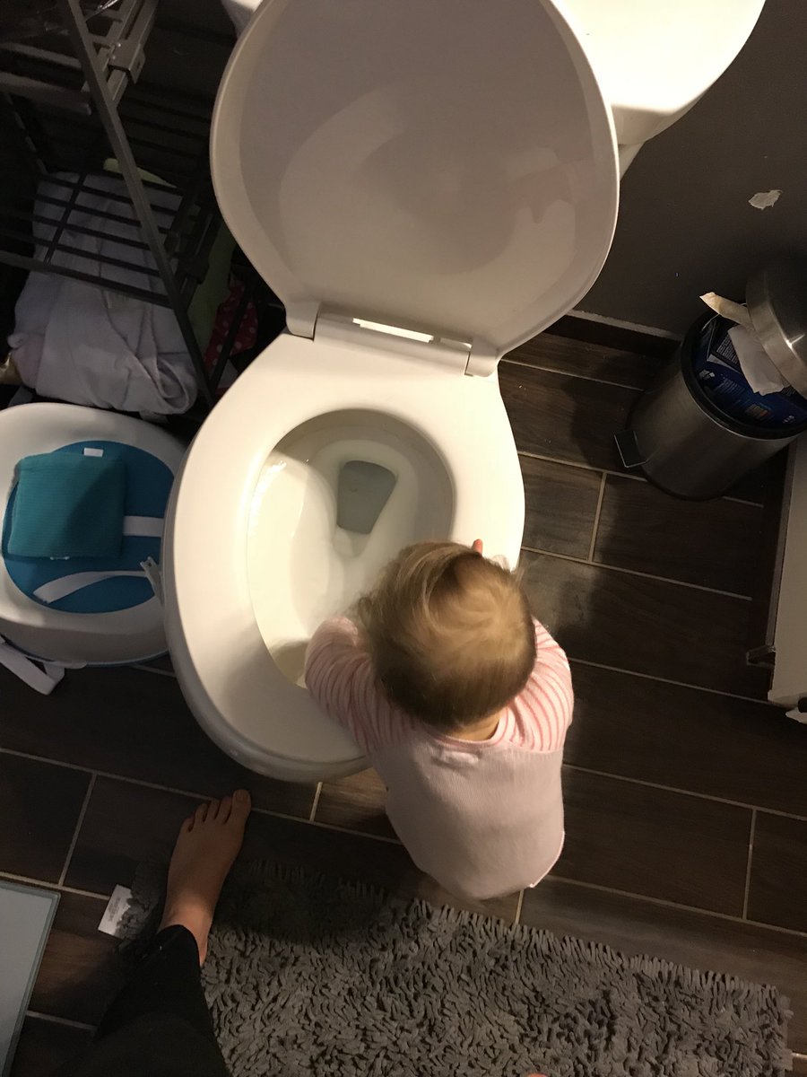 BreckHowell's tweet image. PSA: if you come over, close the toilet lids... my kid is disgusting and will play in the toilet bowl with her hands.