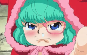 シュガーの誕生日