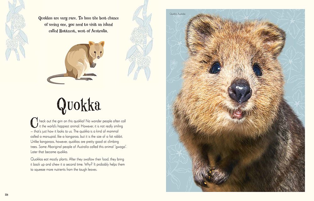 dkbooks's tweet photo. Take a sneak peek inside An Anthology of Intriguing #Animals! It's full of creatures almost too incredible (and adorable) to believe: https://t.co/K30kIZEwOO https://t.co/gAvnFr2Uia