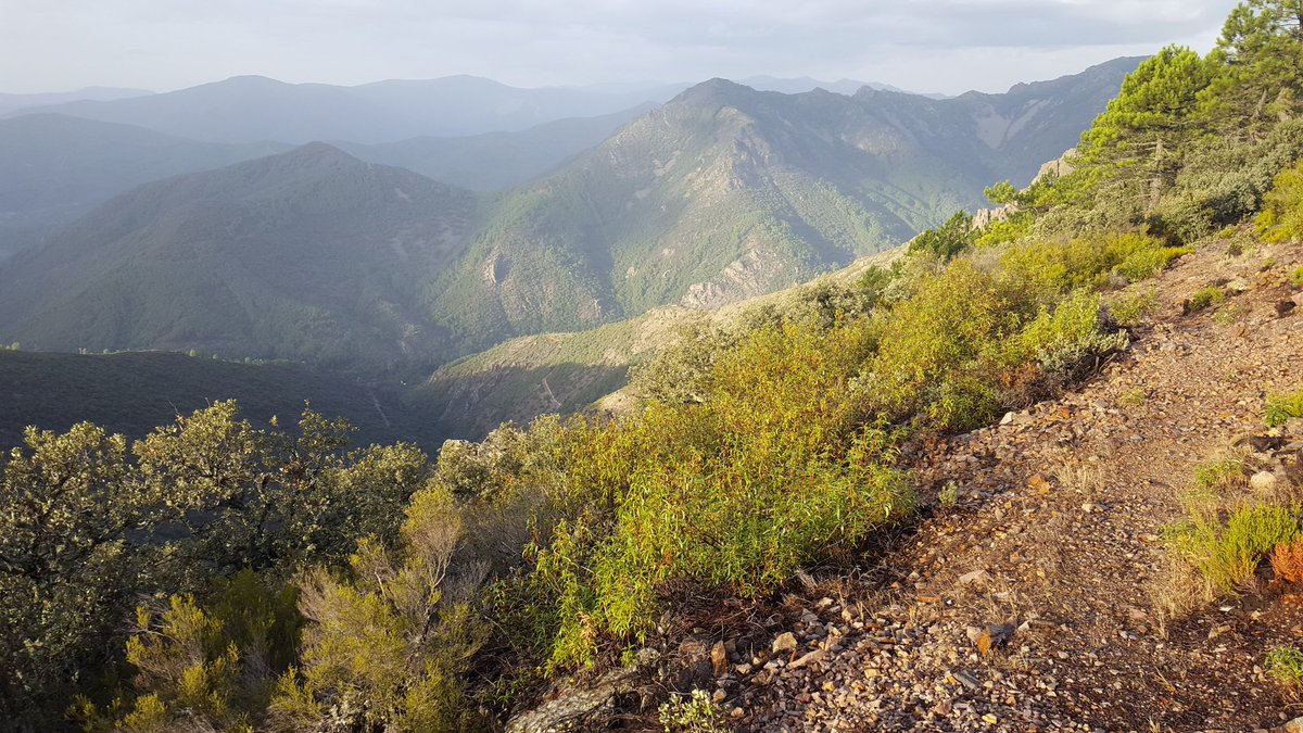 oscargsas's tweet photo. Salvaje la que nos tienen preparada los amigos de @TRESVALLES_ #magnetotermia en estado puro #InToTheWild #EnLasBatuecas #LaAlberca #SierraDeFrancia @manu_lolo @AlexFrosteam @GPMTRAIL #FrosTeam #gassssssss A Kind Of Magic https://t.co/aMVSLVpXpH