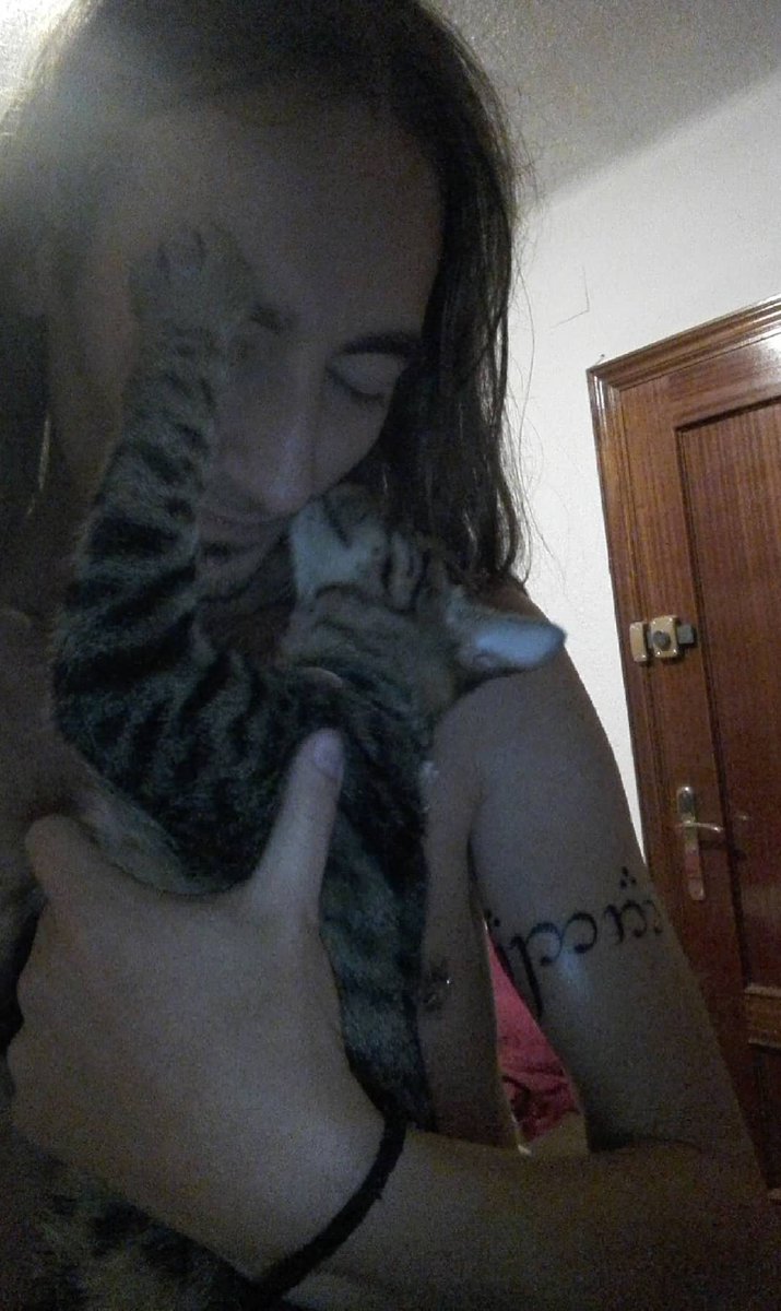 pelosrg's tweet photo. No puedo hacerte feliz, si no tienes gatitos. https://t.co/SU2uKyGAo8