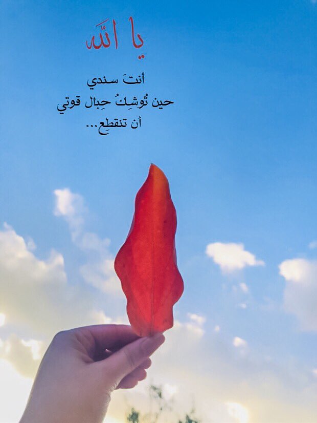 #قروب_فلسطيني #قروب_عشاق_فلسطين #ثائرون_فلسطينيون #قروب_احرار_فلسطين #تصويري