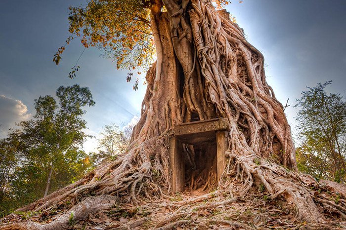 UnknownPlaces1's tweet photo. Kampong Thom, Cambodia
Within Kampong Thom region you can choose within climbing 807 steps of #PhnomSuntuk, visit a listed #WorldHeritagesite, #SamborPreiKuk and explore the boat trip on the #StungSenRiver.
#unknownplaces #trip #cambodia #lesstraveledroad @EyeOnCambodia https://t.co/3KGROzg87V