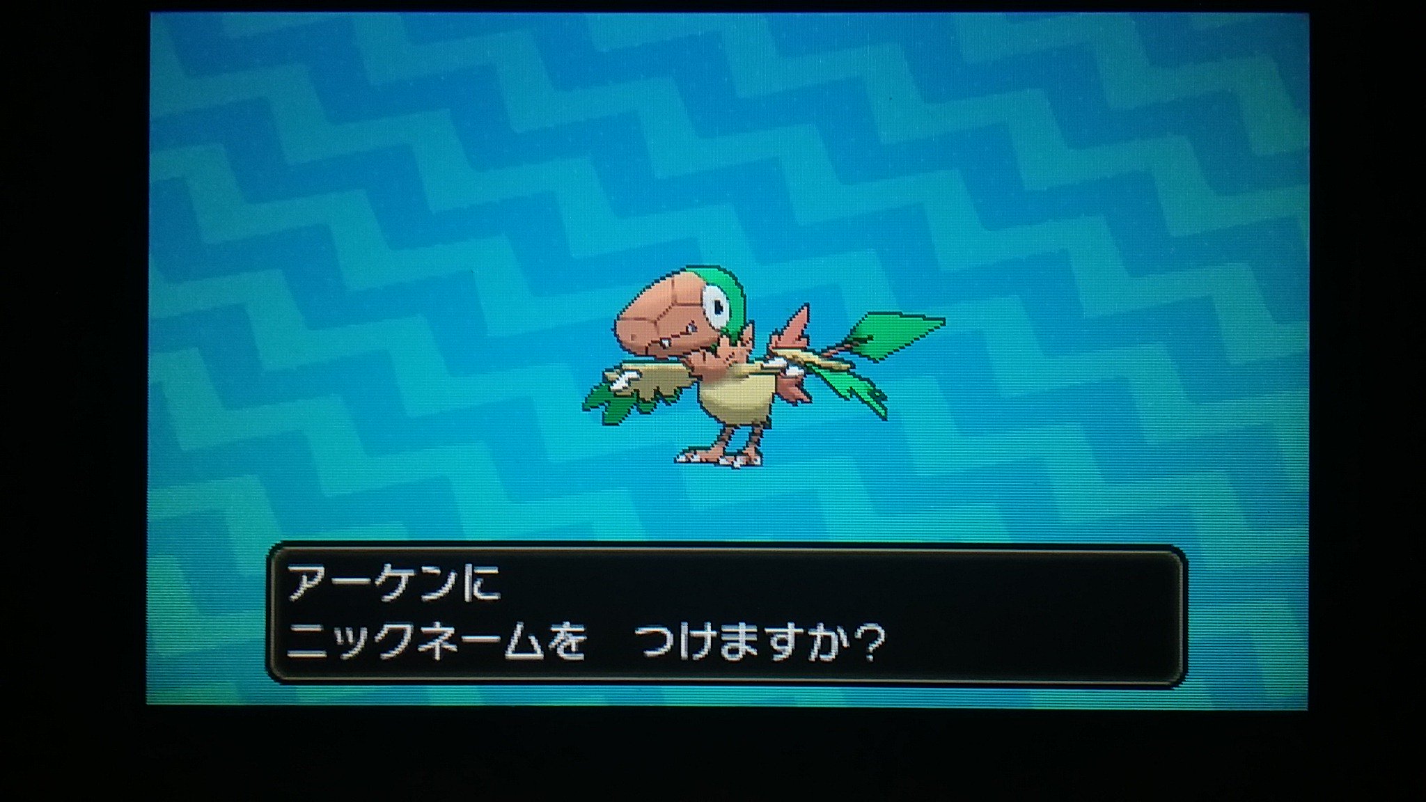 Unknown ポケモン乱数調整 化石受取乱数調整 アーケン 色違い Usumはシンクロ100 T Co Kc6q3zrxbz Twitter
