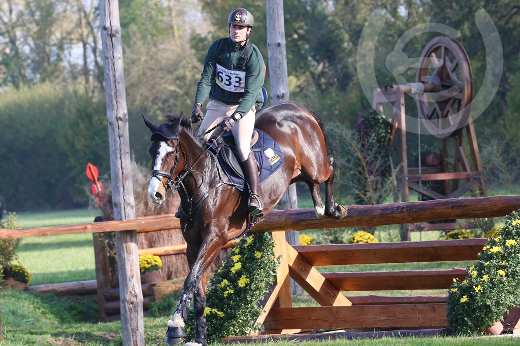 CranfordStud's tweet photo. A good week for 6yr old Penhill Celtic at Mondial du Lion. 29.9 in dressage. Super xc coping well with the crowds &amp; atmosphere. Just very unlucky to have the last down today. Still happy to finish 15th! A good end to the season! 🇫🇷☀️ 
Thank you Uptown Eventing for the photos https://t.co/RCZVh3kiYO