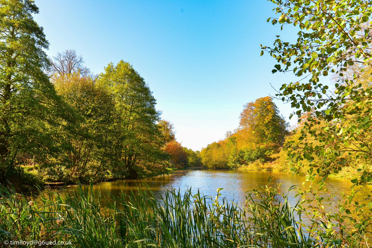 g6ued's tweet image. Feeling like #Autumn down at @NTCalkeAbbey this morning. @nationaltrust @bbcweather @RSPBintheEast @BBCMidsWeather #Autumnwatch