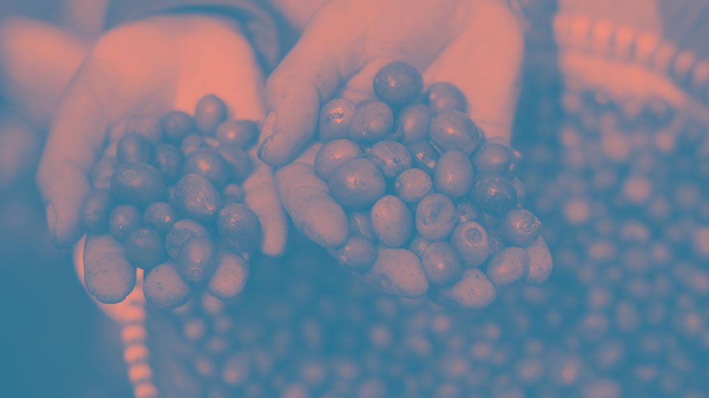 OilSlickCoffee's tweet image. Another great rundown of some of what was discussed at this year&apos;s ASIC. “The material is ripe with information of utmost importance for our industry. ” osc.is/2S5eJtQ #asicportland