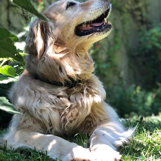 KeesToKitchen's tweet image. Who loves Fall? ift.tt/2S7LQNJ