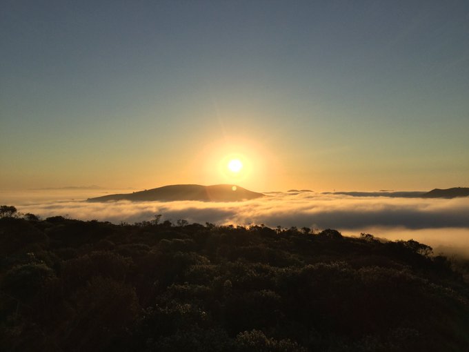 🌄 Magical sunrise[1], clouds, &amp; fog on yesterday&rsquo;s #TNFECS #ECSCA #50ktraining run. Started before #sunrise<a href="/tag/sunrise"class="tags"><span>#sunrise</span></a><a href="/tag/ecsca"class="tags"><span>#ecsca</span></a><a href="/tag/50ktraining"class="tags"><span>#50ktraining</span></a><a href="/tag/tnfecs"class="tags"><span>#tnfecs</span></a>