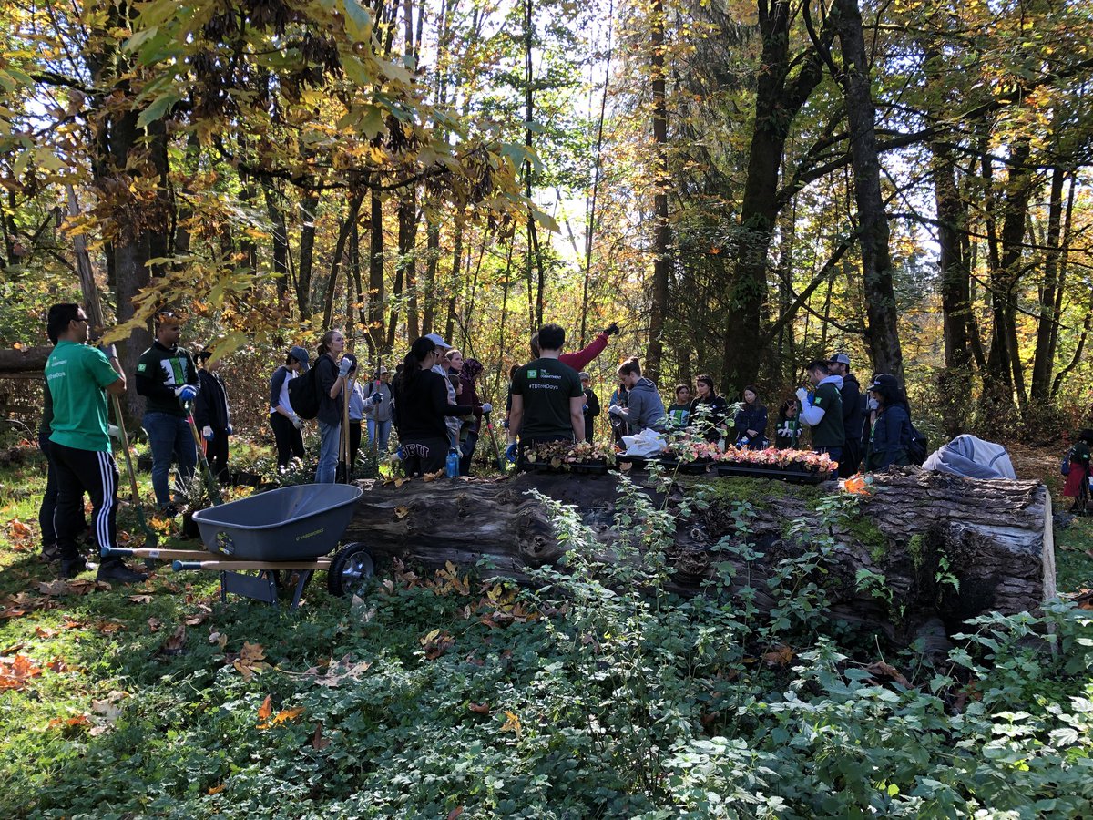 Great turn out today at Burnaby Lake for TD Tree Days! Thanks to all the volunteers that came out! #TDTreeDays #TheReadyCommitment @MauroManzi_TD @BruceGray_TD @SandraLiu_TD