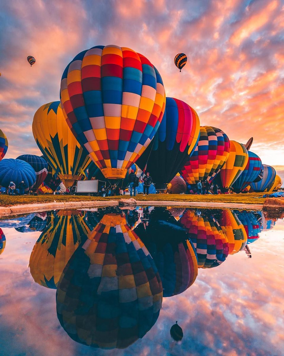radnature's tweet photo. Albuquerque, New Mexico https://t.co/gBzv5xdo3m