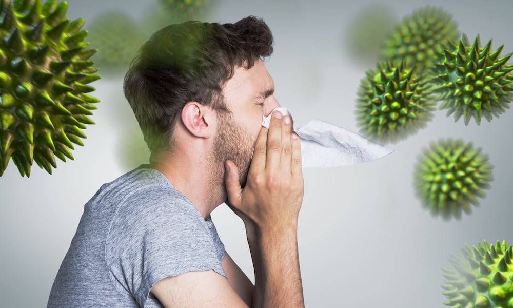 Does Cannabis Affect Your Immune System? hightimes.com/health/does-ca… #fluseason