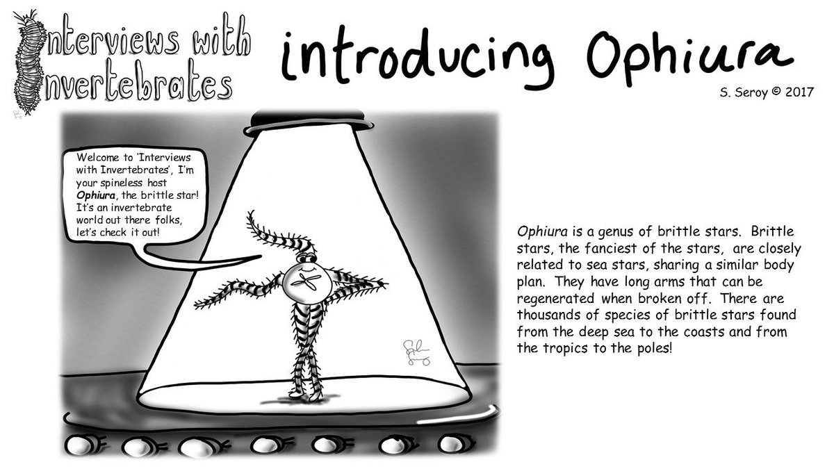 interviews with invertebrates tweet media