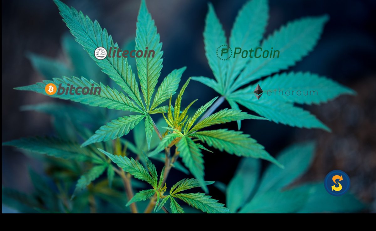 Cannabis and Crypto: Two commodities on a similar journey to gain  mainstream acceptance. https://t.co/mA8X0qMdN8 #cryptocurrency #cannabis  #cbd #bitcoin #swapity