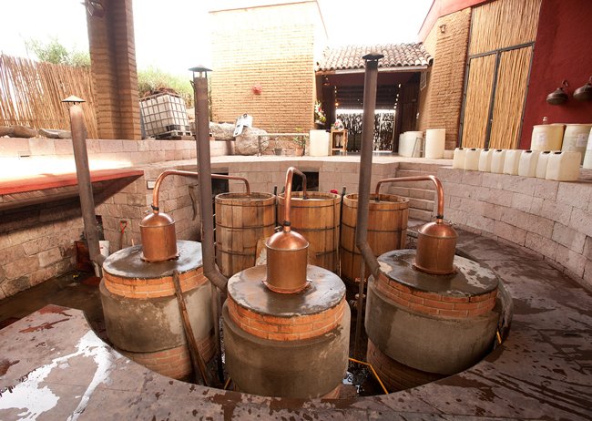 ExpansionMx's tweet photo. GALERÍA El mezcal Los Danzantes es un ejemplo del éxito que ha tenido el mezcal en México y el mundo. Búscalo en @manufacturaGE https://t.co/FrkPnw0osi https://t.co/IJzcRzBExx