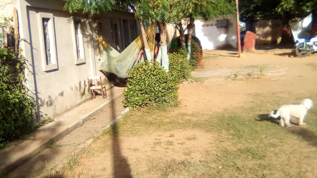 ElPitazoTV's tweet photo. #Guárico | Sin ventilador o aire acondicionado, el calor en Zaraza obliga a la gente a colgar hamacas fuera de las casas #21Oct - vía infociudadano Diego Torrealba https://t.co/3fzUXOA0mZ