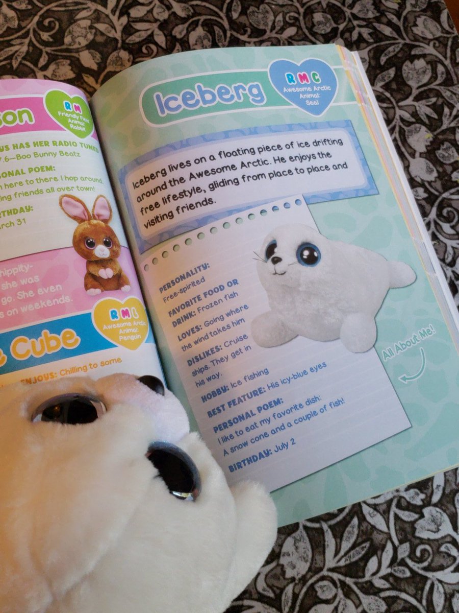 icy beanie boo birthday