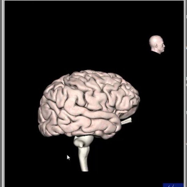 ebook deconstructing the feminine psychoanalysis