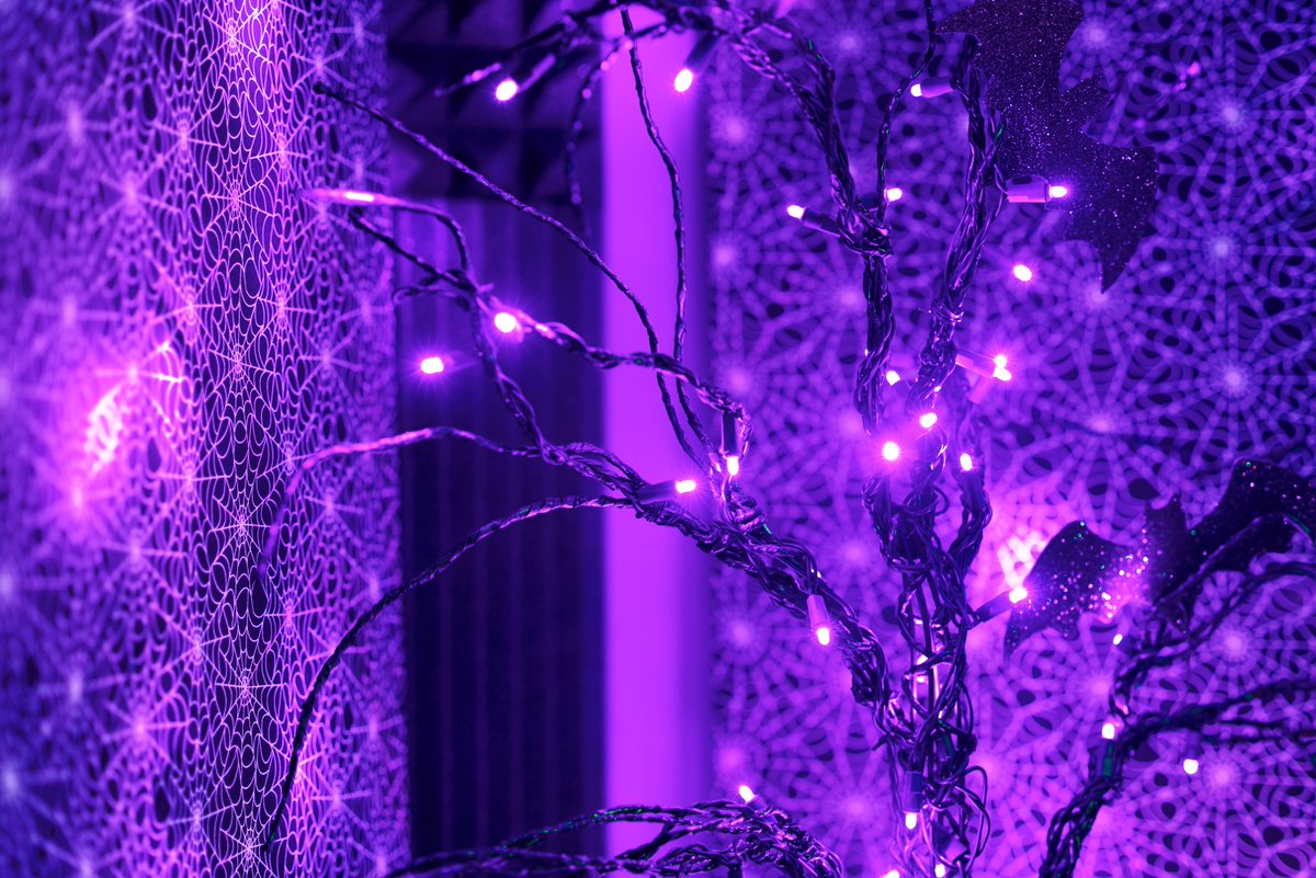 EndvrStudiosLA's tweet photo. ✨THE MAGIC IS IN THE DETAILS✨We custom made these spiderweb panels for our B-Room (they glow in the dark!) and our spooky purple bat tree casts the perfect light!💜 Ready to launch your next project yet? Book your time now! 🚀🚀🚀#EndeavorStudiosLA #BlastOff 📷: @frankhobbs_iv https://t.co/YdaF8EFJOJ