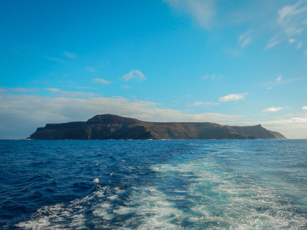 Field work on #SelvagemGrande is over for the year!
Ready for next season: 
✔️nest boxes installed - ready to welcome white-faced storm #petrels
✔️breeding success of Cory's #shearwaters assessed; adults tagged so we can follow their #migration &amp; chicks ringed
#seabirds