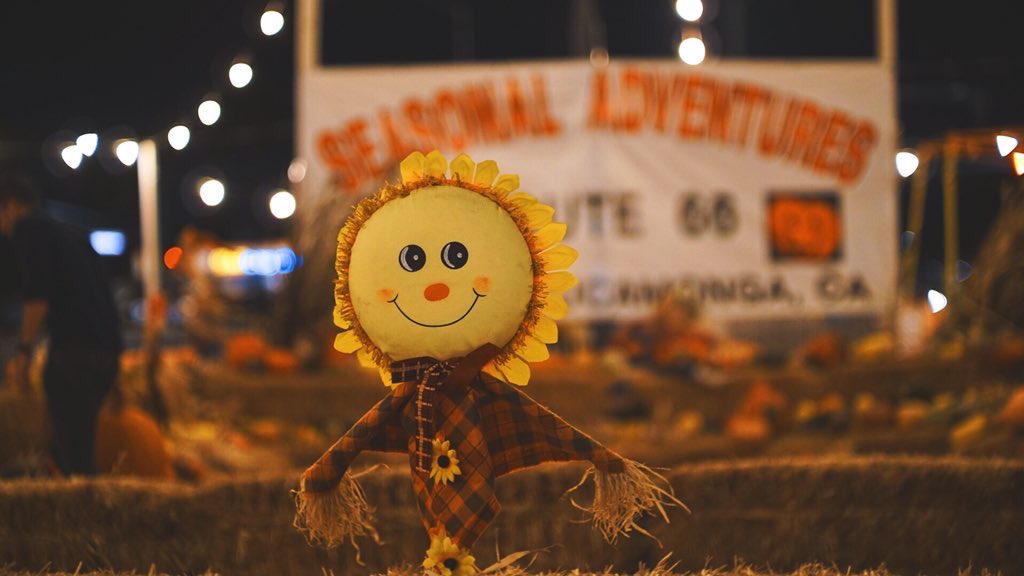 A_G_X_P_'s tweet photo. Some shots from our pumpkin patch trip. Happy Halloween everyone! ���� 🎃
Dm us or @gabrielop10 to book your shoot today!
#agxp #photography #videography #sony https://t.co/t02Ecb94XY