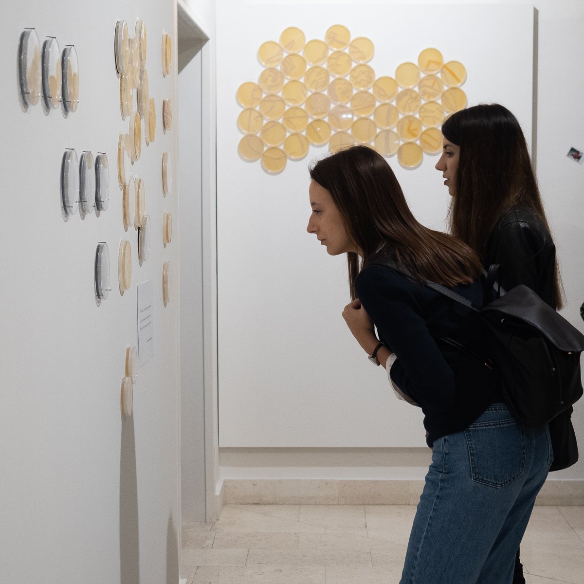 RhizomeAsso's tweet photo. As we’re wrapping up our first #microbeart pop-up exhibition; a few impressions from the opening night. Congratulations to @aramataTM & @KNakic for their amazing work, and thanks to #MedILS for their support.
Only question remaining is... where next? 🎨🔬🌍 #art #science #STEAM https://t.co/czBQbEJW03