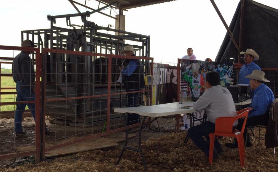 SEDERCOAH's tweet photo. #Acuña Secretario @flores_mendez presente en la final del 4o. Concurso del Becerro Gordo en la 4a. Expo Ganadera 2018 organizada por la Asociación Ganadera Local @mrikelme #FuerteCoahuilaEs https://t.co/yD7xlREpzx