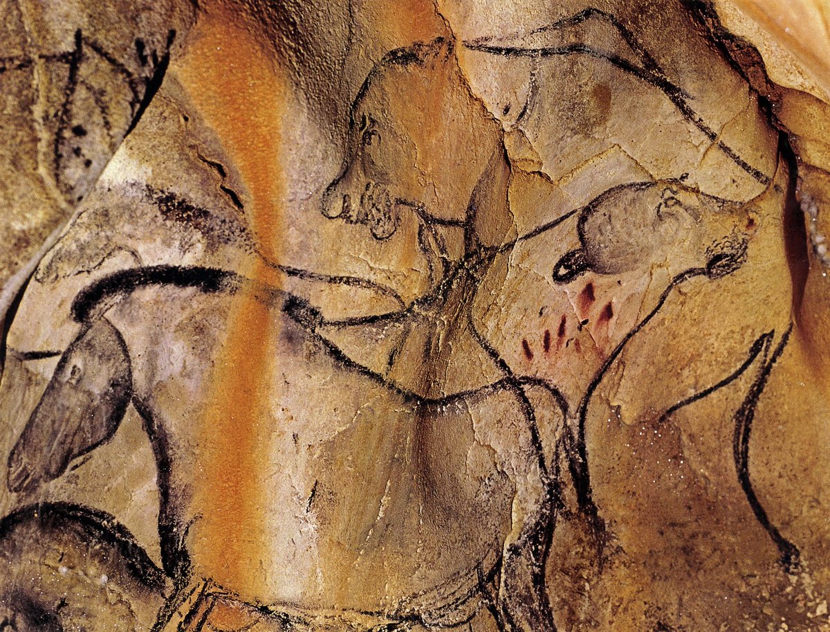 Jamie_Woodward_'s tweet photo. Seventy-two felines adorn the walls of Chauvet Cave along with more than a dozen other species totalling ~420 animal figures. These galleries were created by #IceAgeArtists over 30,000 years ago #IceAgeBeasts 

Photo by Jean Clottes published in National Geographic 2001 https://t.co/kgMiTKq3Yg