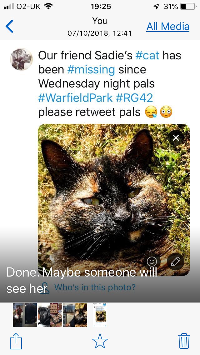 DoggyBonar004's tweet image. It’s not looking likely sadly. But if we could all kindly retweet again? #MissingCat #WarfieldPark #RG42