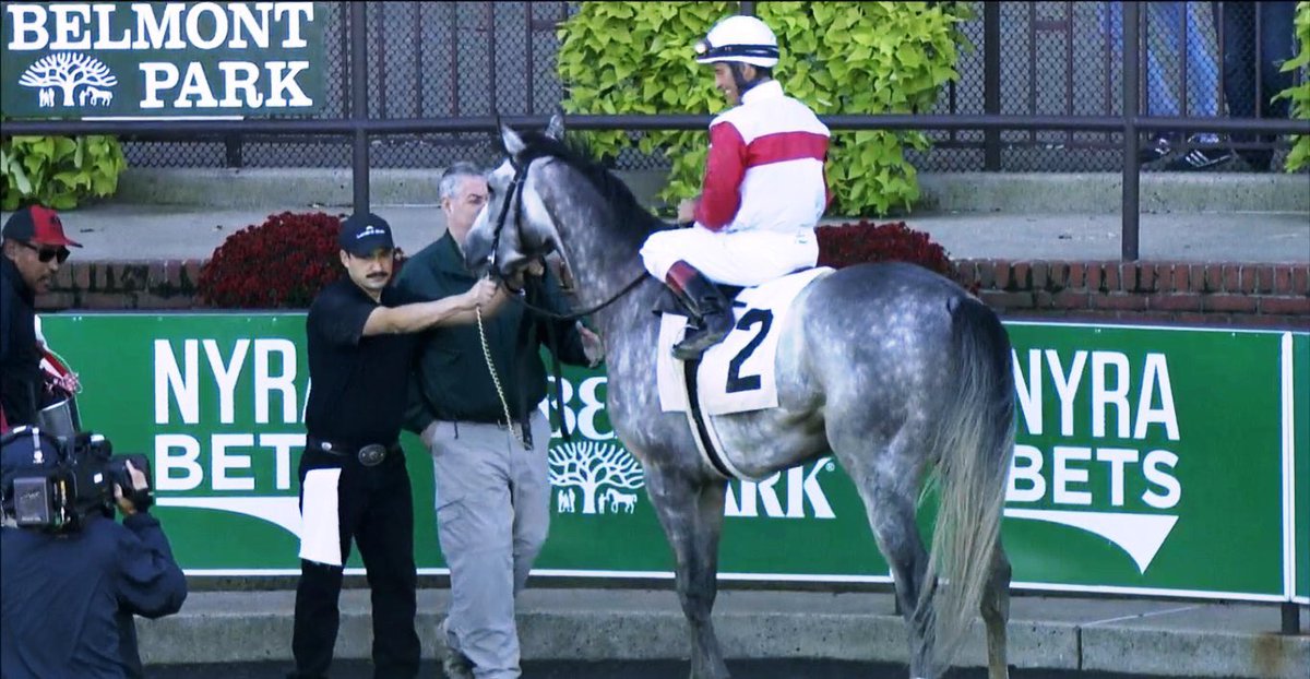 PhippsStableFan's tweet photo. SARGEANT DRIVE IN BELMONT RACE 3
9 days after winning by 13 lengths under a hand ride, #PhippsStable &amp; #StuartJanneyIII's 3yo colt #SargeantDrive (Tapit-Carriage Trail, by Giant's Causeway) is back for Belmont race 3 today, a $77k ALW going 1 1/16 mi turf. @ljlmvel in the irons. https://t.co/FU5wWId0CG