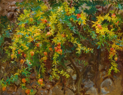 Sargent’s plant paintings take an impressionist love of colour & integrate his own dynamic & exquisite approach. Hollyhocks (1886), Pomegranates (1908) & Fig Tree (1908). His love of colour is readily apparent