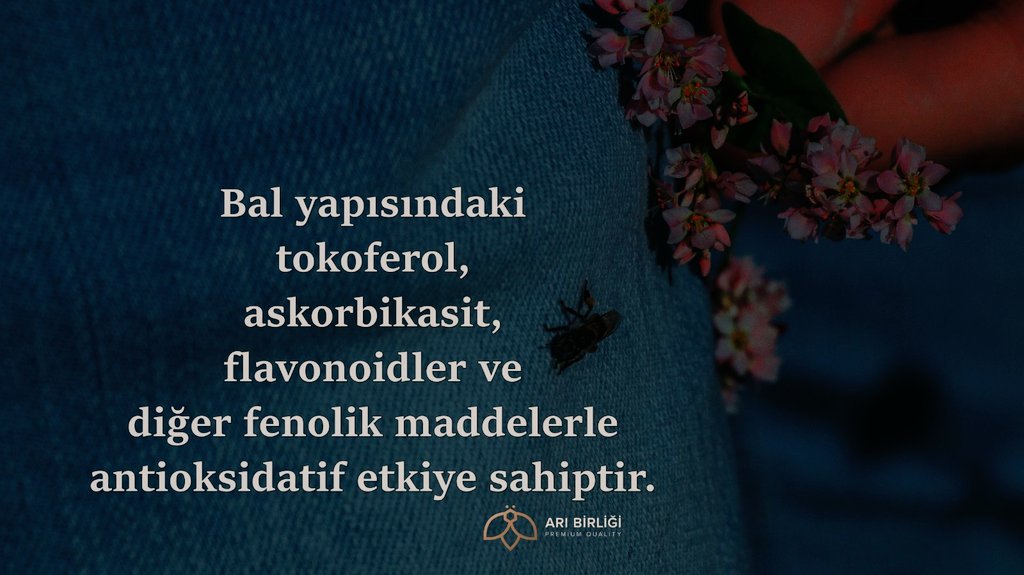 Arı Birliği® tweet media