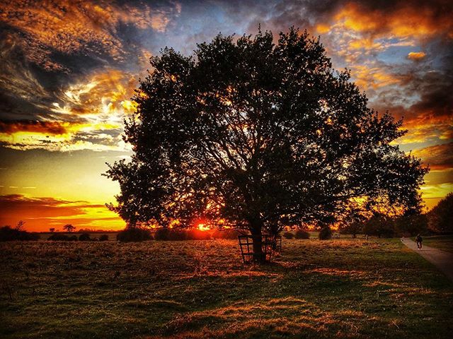 Pteropus_66's tweet photo. Sunset on Hemingford Abbots Common on 20 Oct 18 #366 293/365
#sunset #hemingford #hemingfordabbots #huntingdon #huntingdonshire https://t.co/Uc3bEHmL2C