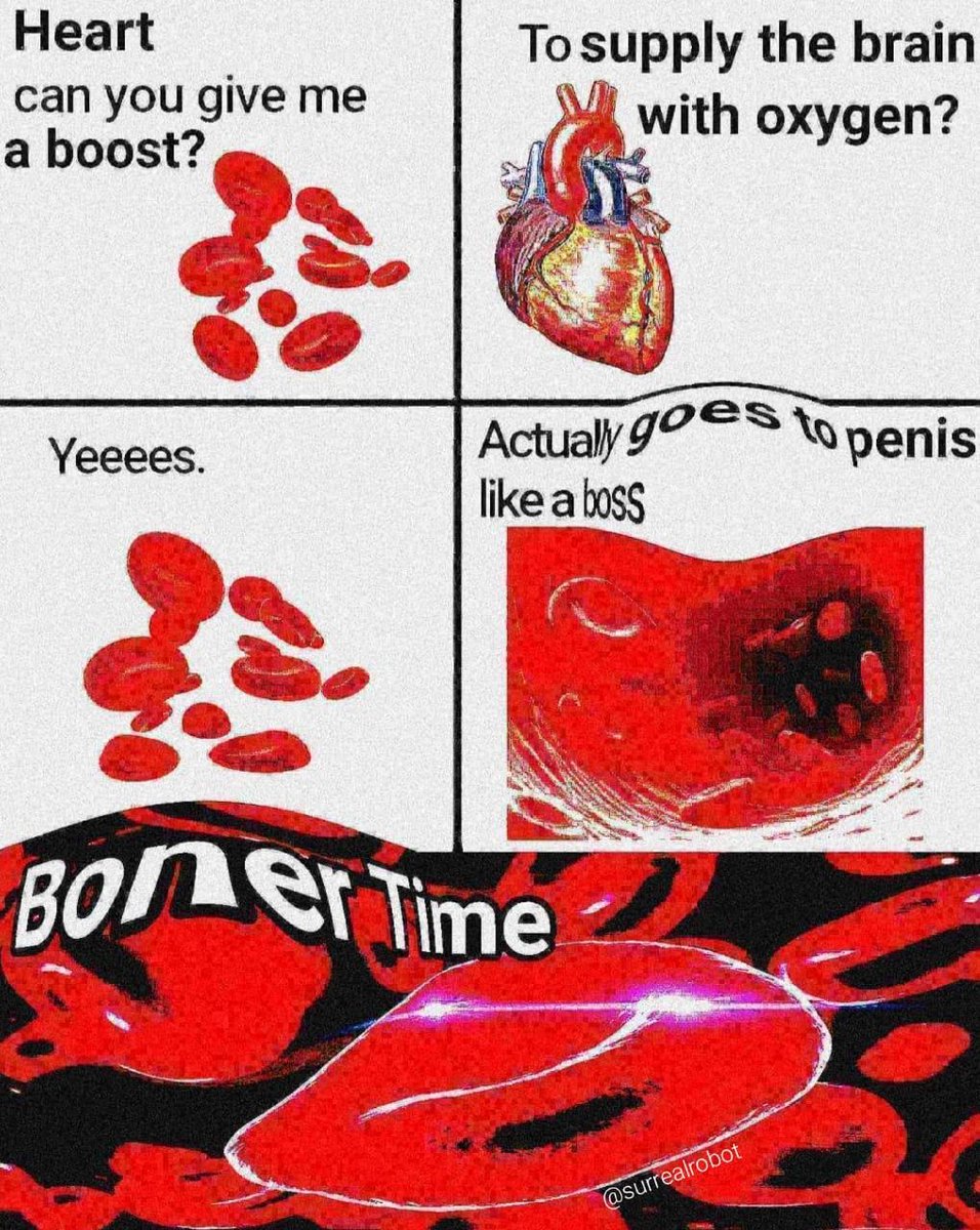 theMemesBot's tweet photo. Thank you heart, very cool https://t.co/YYRUxNLGdf