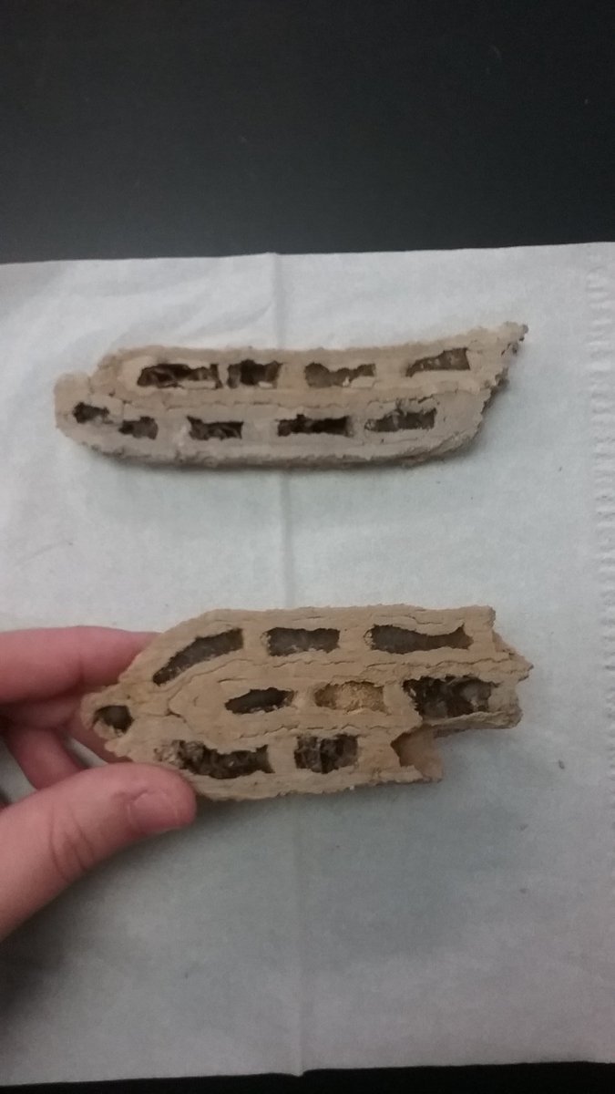 Mrs.EArnold tweet media