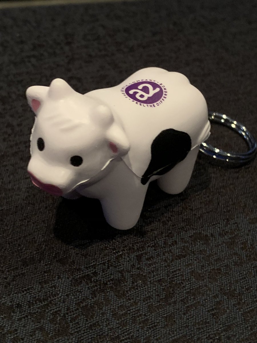Such a cute giveaway from <a href="/a2MilkUSA/">a2milkUSA</a> at #FNCE <a href="/eatrightFNCE/">eatrightFNCE</a> Enjoyed learning about their products.  Thought about tackling ice cream?