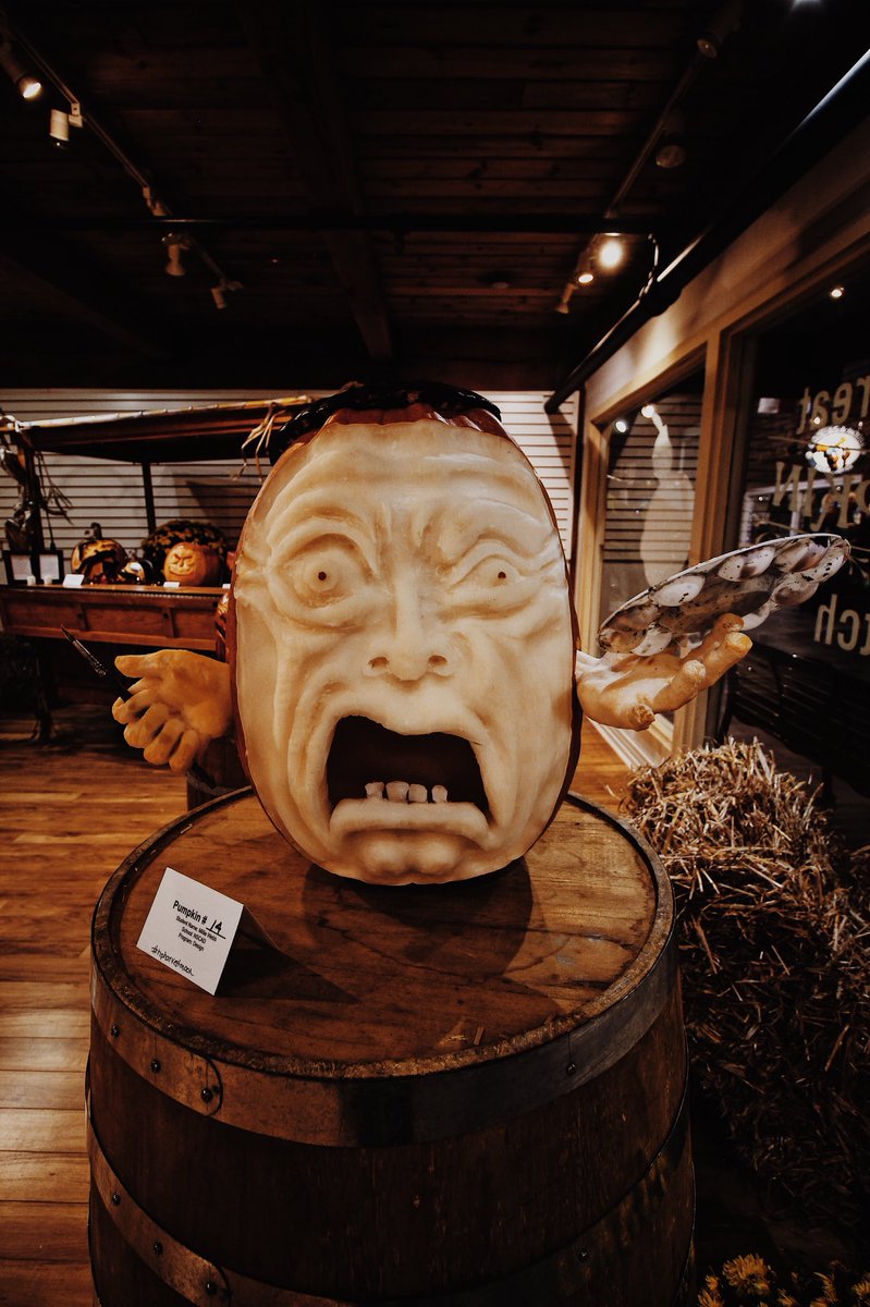 BuildNovaScotia's tweet photo. Congratulationsย to our winners of #TheGreatPumpkinPatch! ๐๐
Over 1,500 votes!
๐ฅFirst place with 264 votes:
#14 by Millie Webb. Instagram:
@ _millie.rose_
๐ฅSecond place with 170 votes:
#3 by Zeynep Artok
๐ฅThird place with 165 votes:
#2 Blossom Mendoza https://t.co/Szfn7pmEbt