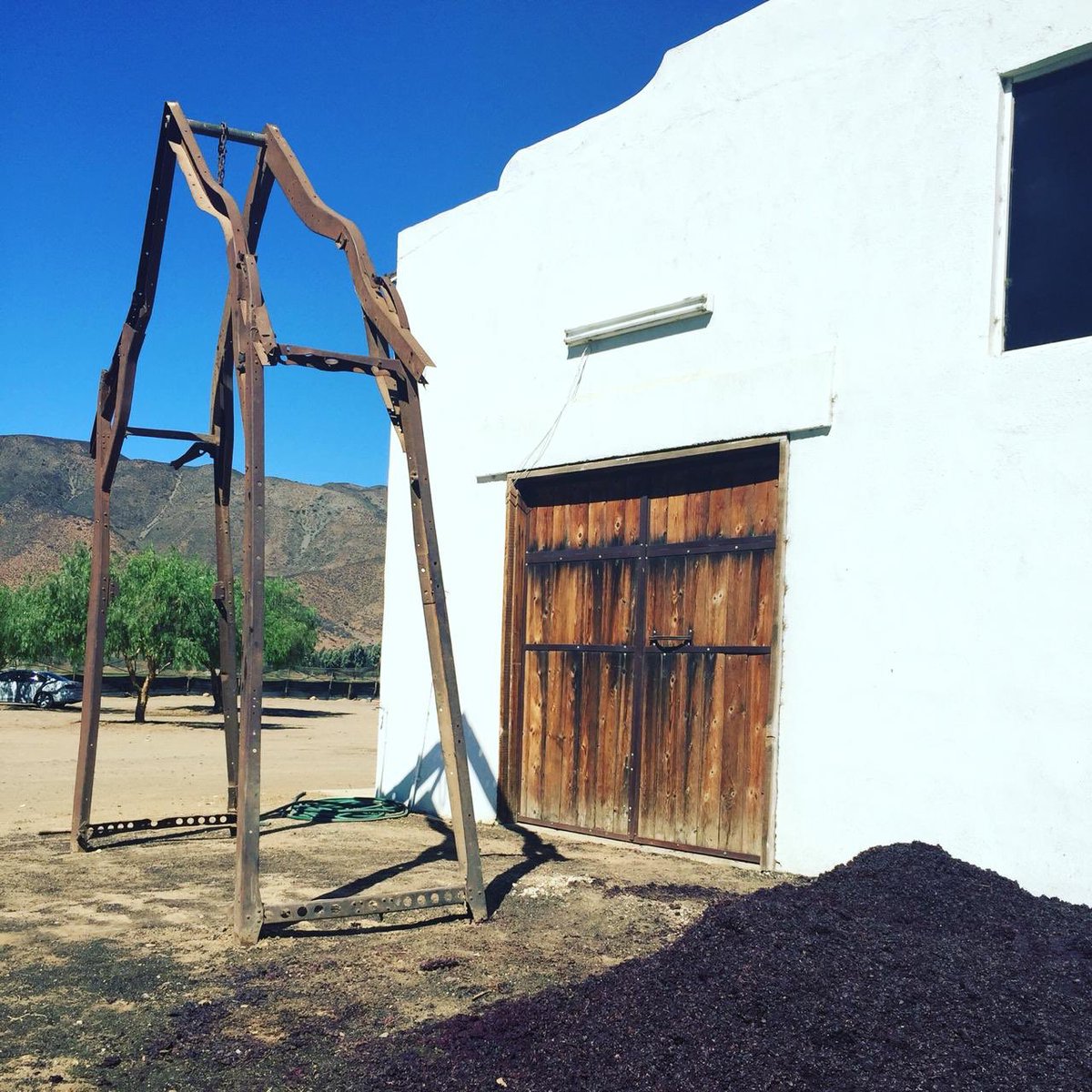 Montículo de cáscaras y semillas de uva #cabernetsauvignon . Después de prensar el mosto, dejamos secar al sol todos los sólidos de la 🍇 para después usarlos como composta. #vinossaltodefe